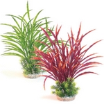 Aquarium Plants Aquarium Plants
